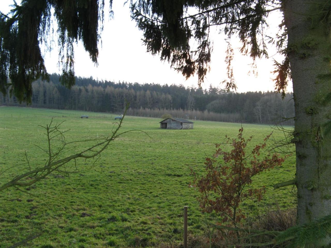 Ferienwohnung Prior Bad Emstal Экстерьер фото